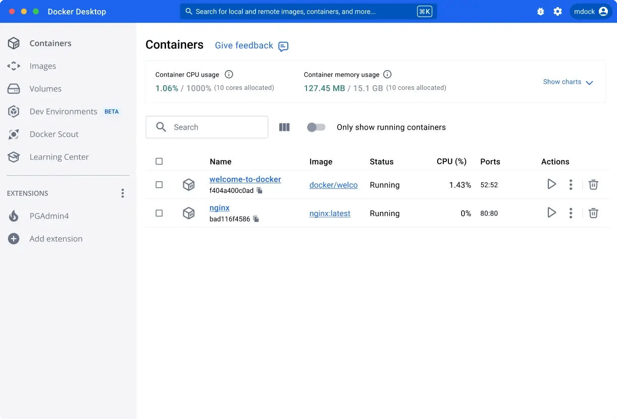 Docker container application development