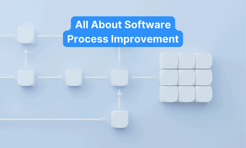Improving Development Efficiency with Software Process Improvement